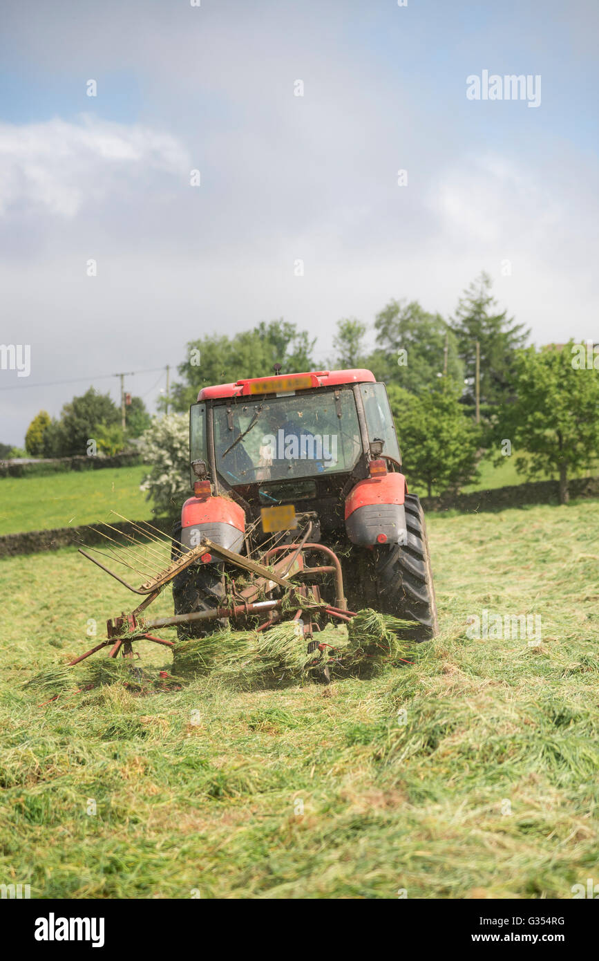 Ein roter Traktor drehen Rasen in einer Sommerwiese Heu in der englischen Landschaft zu trocknen.  Vater und Sohn im Inneren des Traktors. Stockfoto