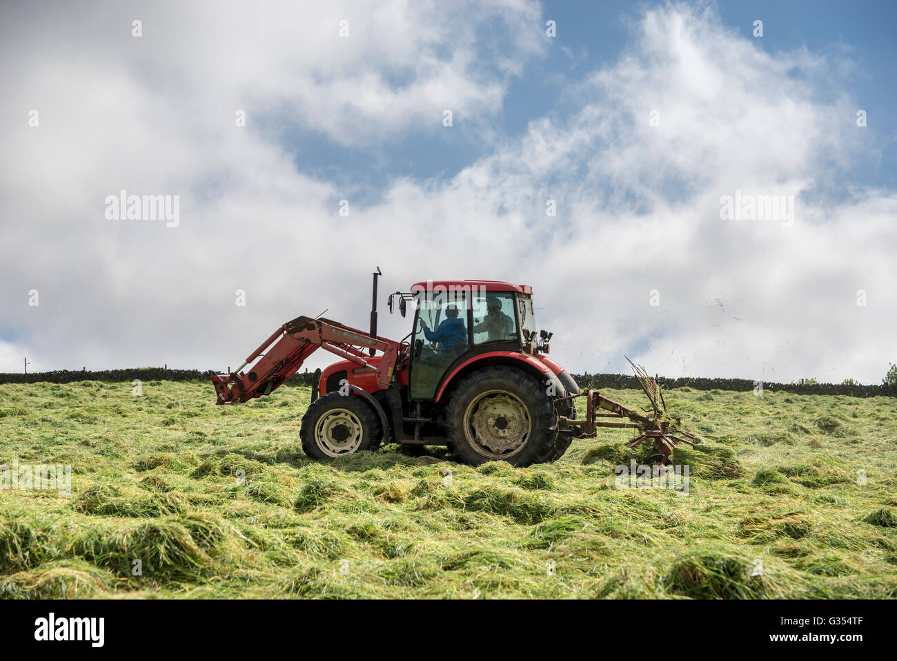 Ein roter Traktor drehen Rasen in einer Sommerwiese Heu in der englischen Landschaft zu trocknen.  Vater und Sohn im Inneren des Traktors. Stockfoto
