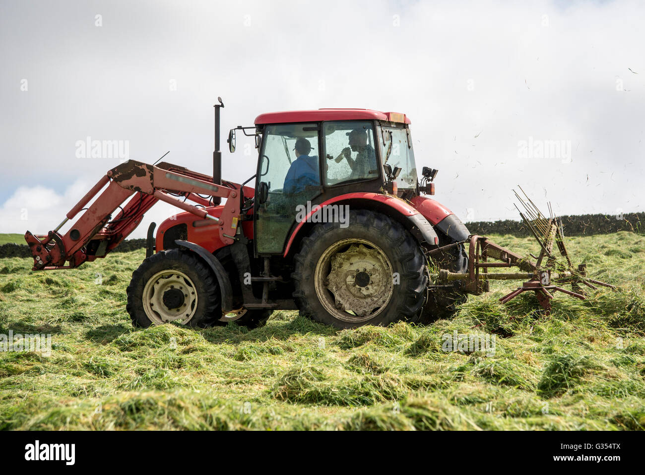 Ein roter Traktor drehen Rasen in einer Sommerwiese Heu in der englischen Landschaft zu trocknen.  Vater und Sohn im Inneren des Traktors. Stockfoto