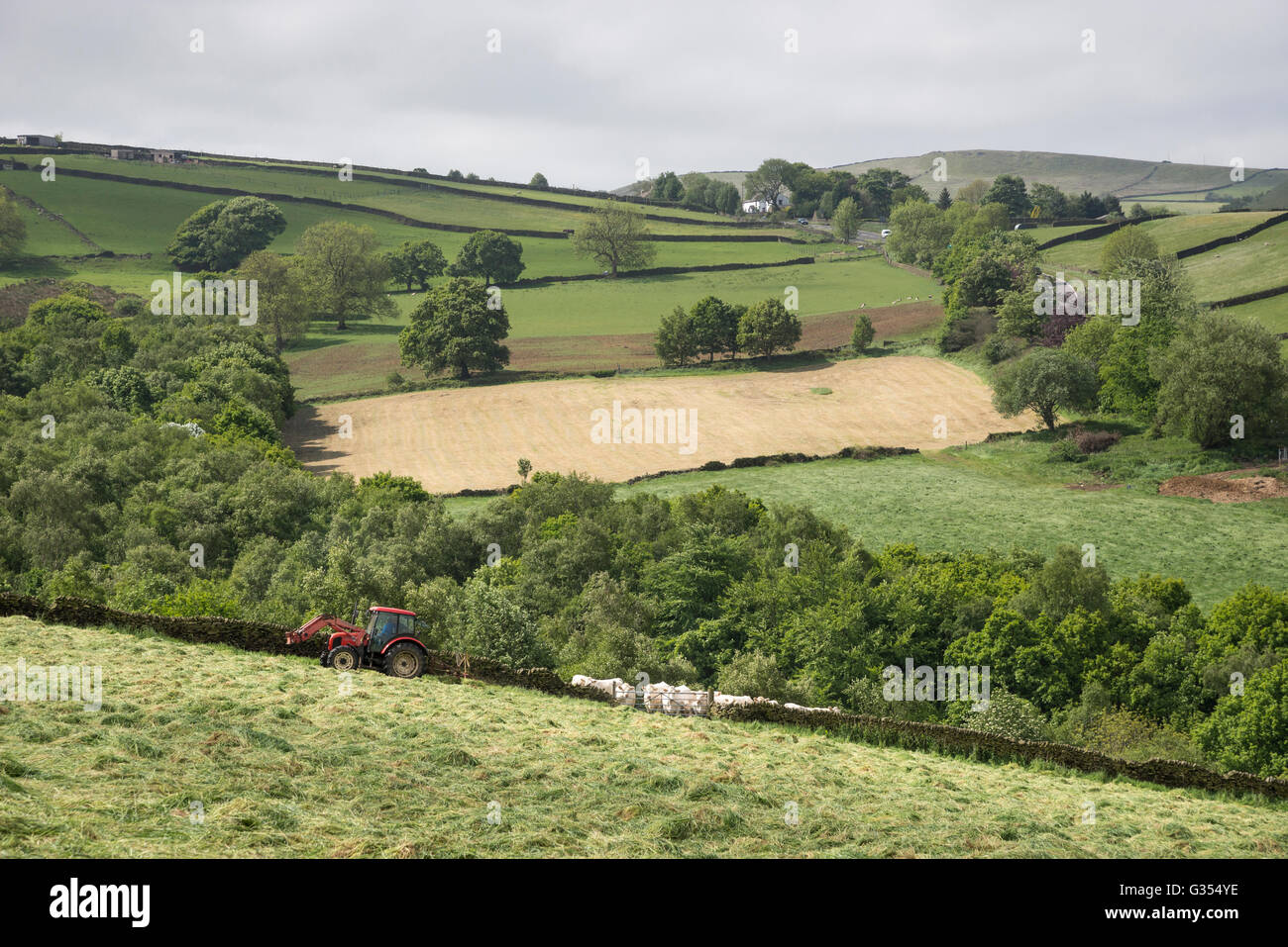Ein roter Traktor drehen Rasen in einer Sommerwiese Heu in der englischen Landschaft zu trocknen. Stockfoto