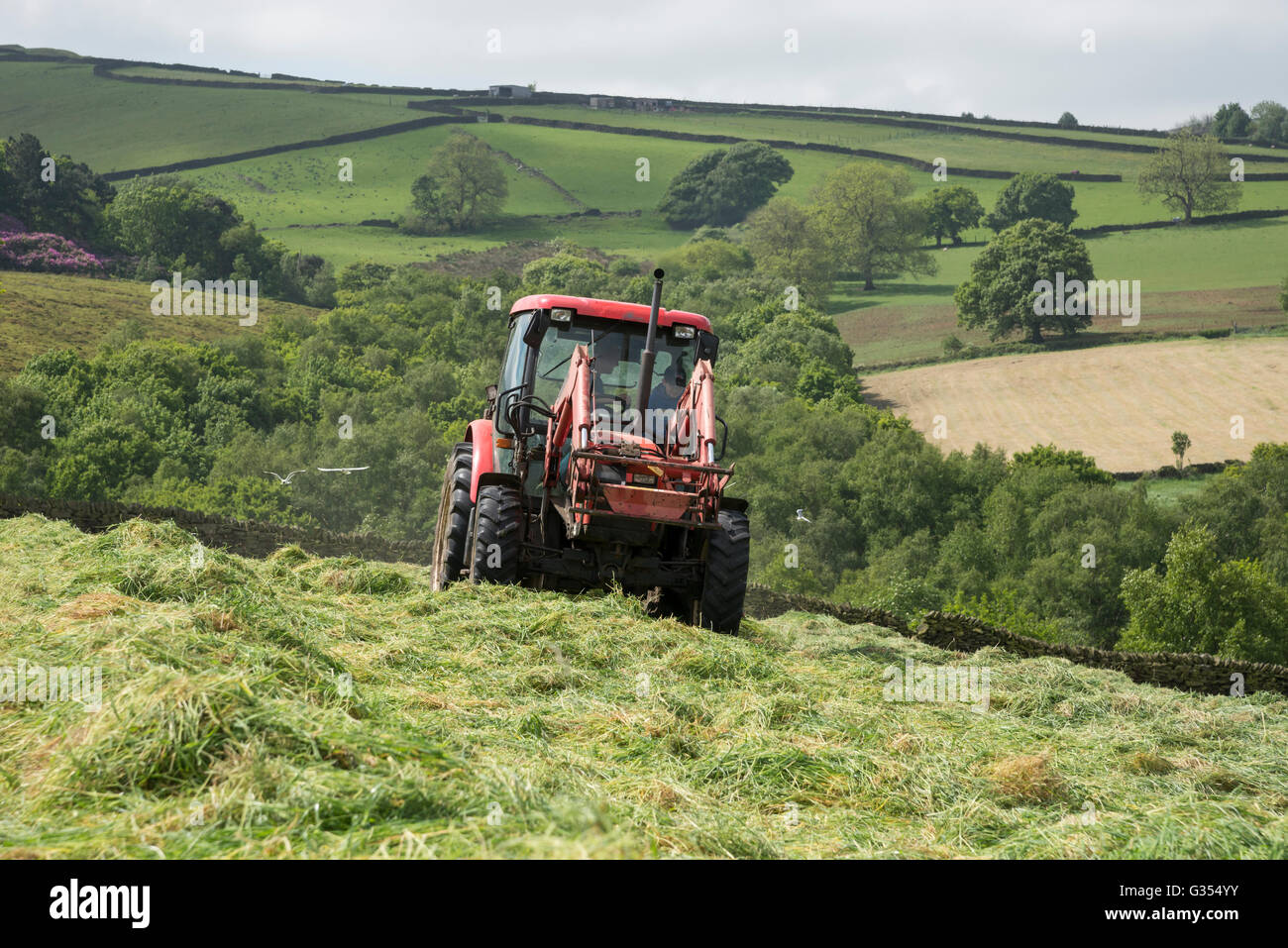 Ein roter Traktor drehen Rasen in einer Sommerwiese Heu in der englischen Landschaft zu trocknen. Stockfoto