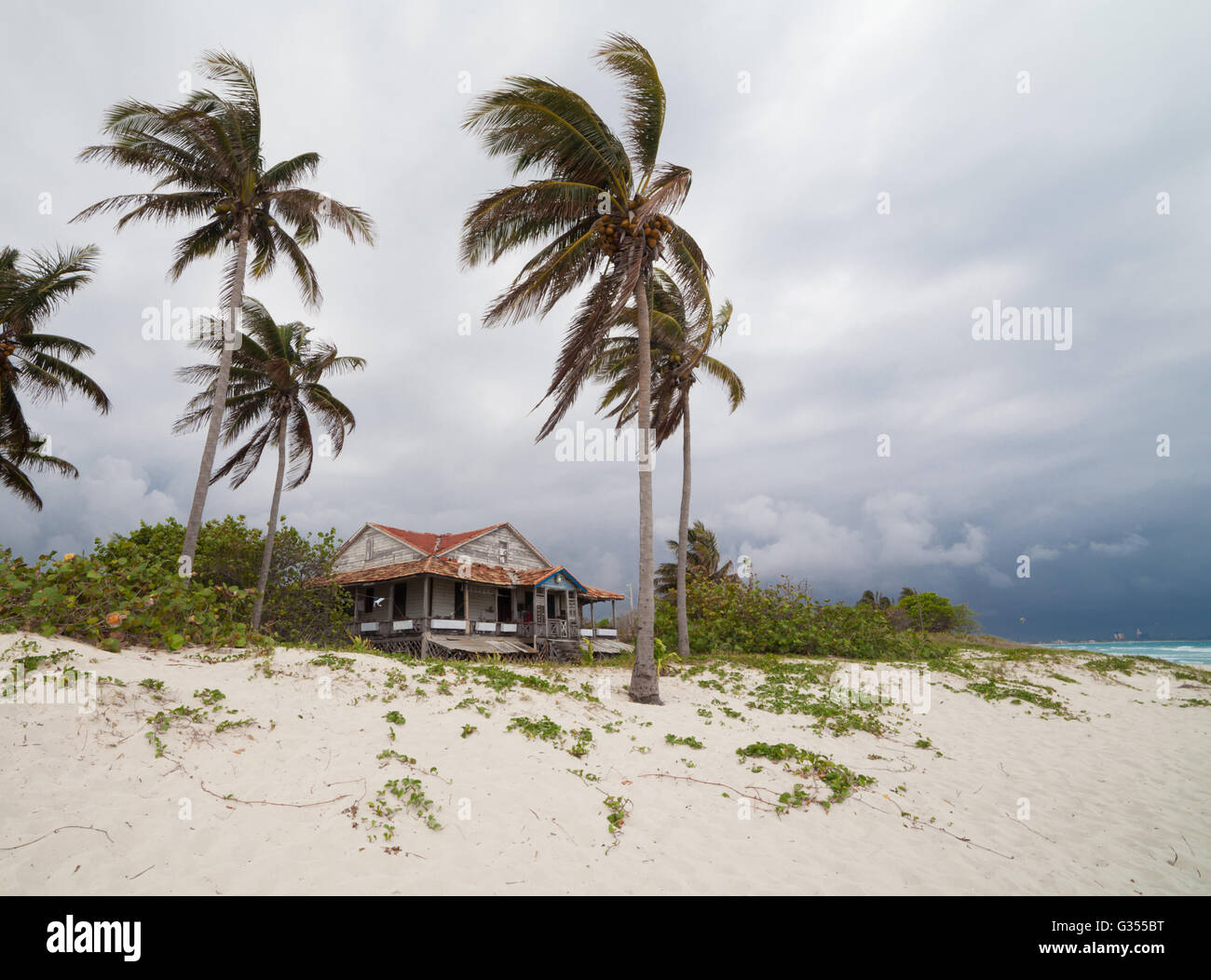 Haus mit Palmen am Strand Stockfoto