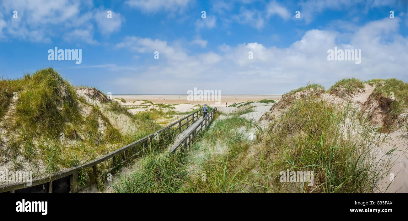 Idyllischer Weg in typischen europäischen Nordsee-Dünenlandschaft zum Strand führt an einem sonnigen Tag mit schönen Wolkengebilde Stockfoto