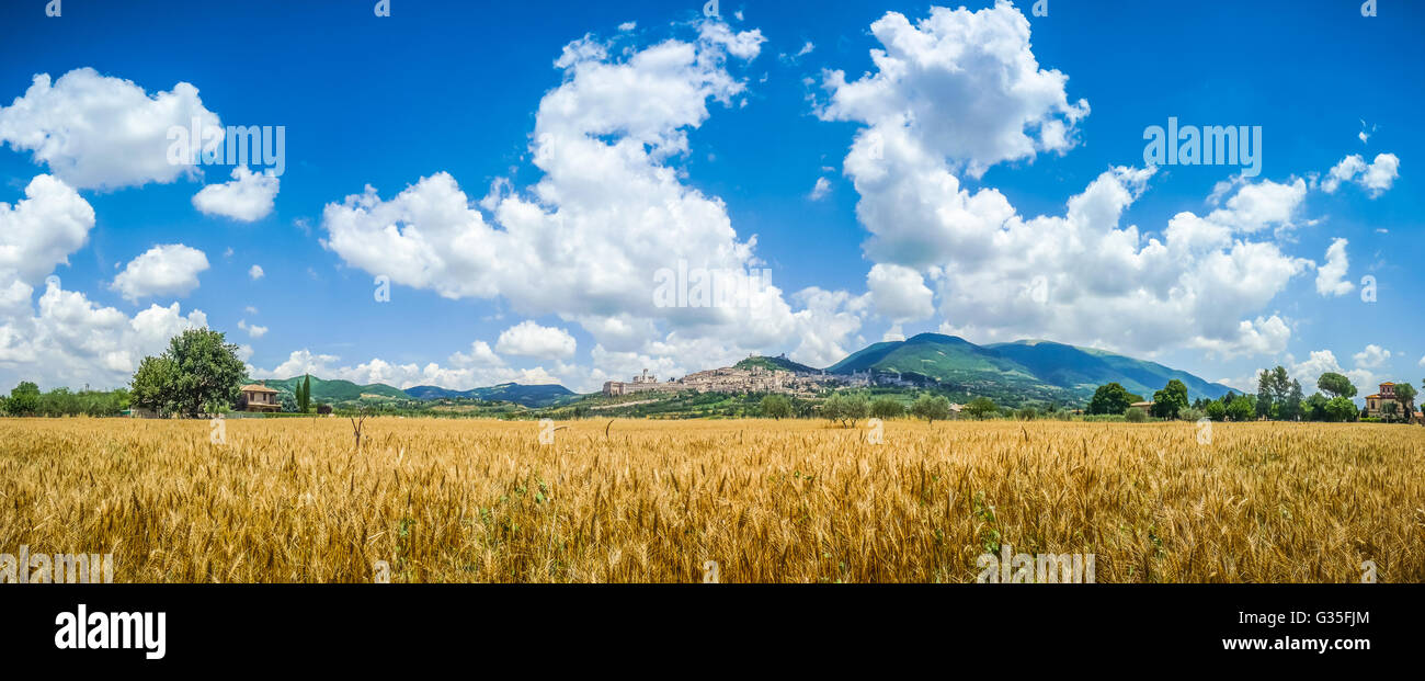 Panoramablick auf die alte Stadt Assisi mit dramatischen Wolkengebilde und Goldene Ernte Felder, Umbrien, Italien Stockfoto