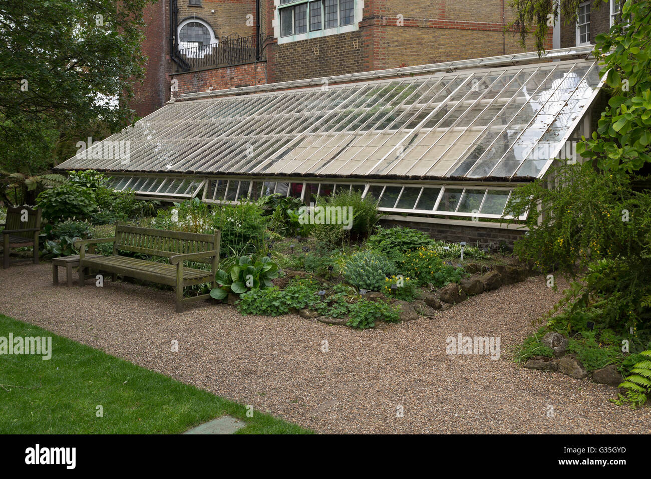 Chelsea Physic Garden Cool Fernery - Chelsea, London, UK, Europa Stockfoto