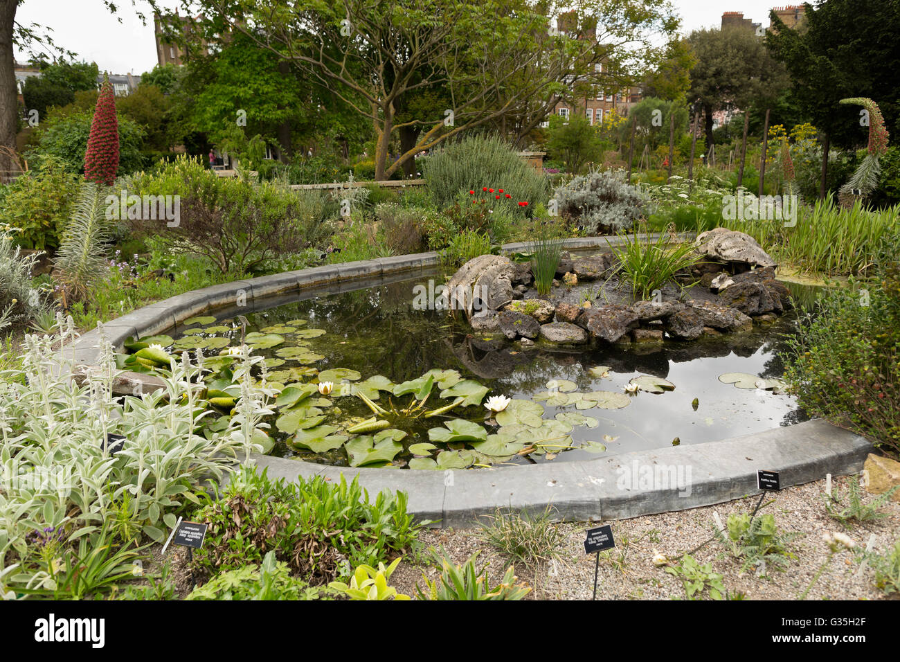 Chelsea Physic Garden Pond Steingarten - Chelsea, London, UK, Europa Stockfoto