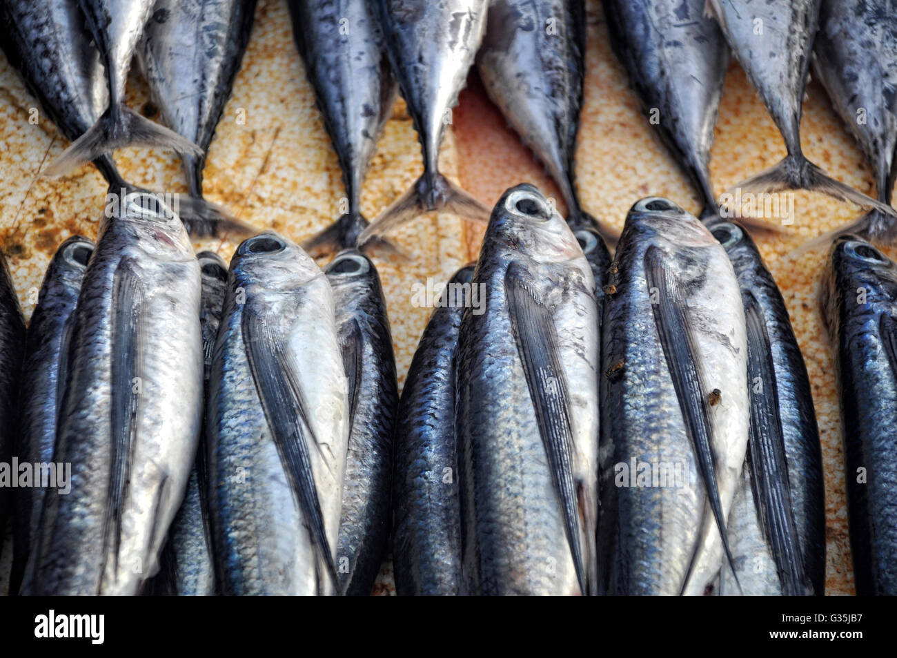 Roher Fisch in traditioneller Markt Stockfoto