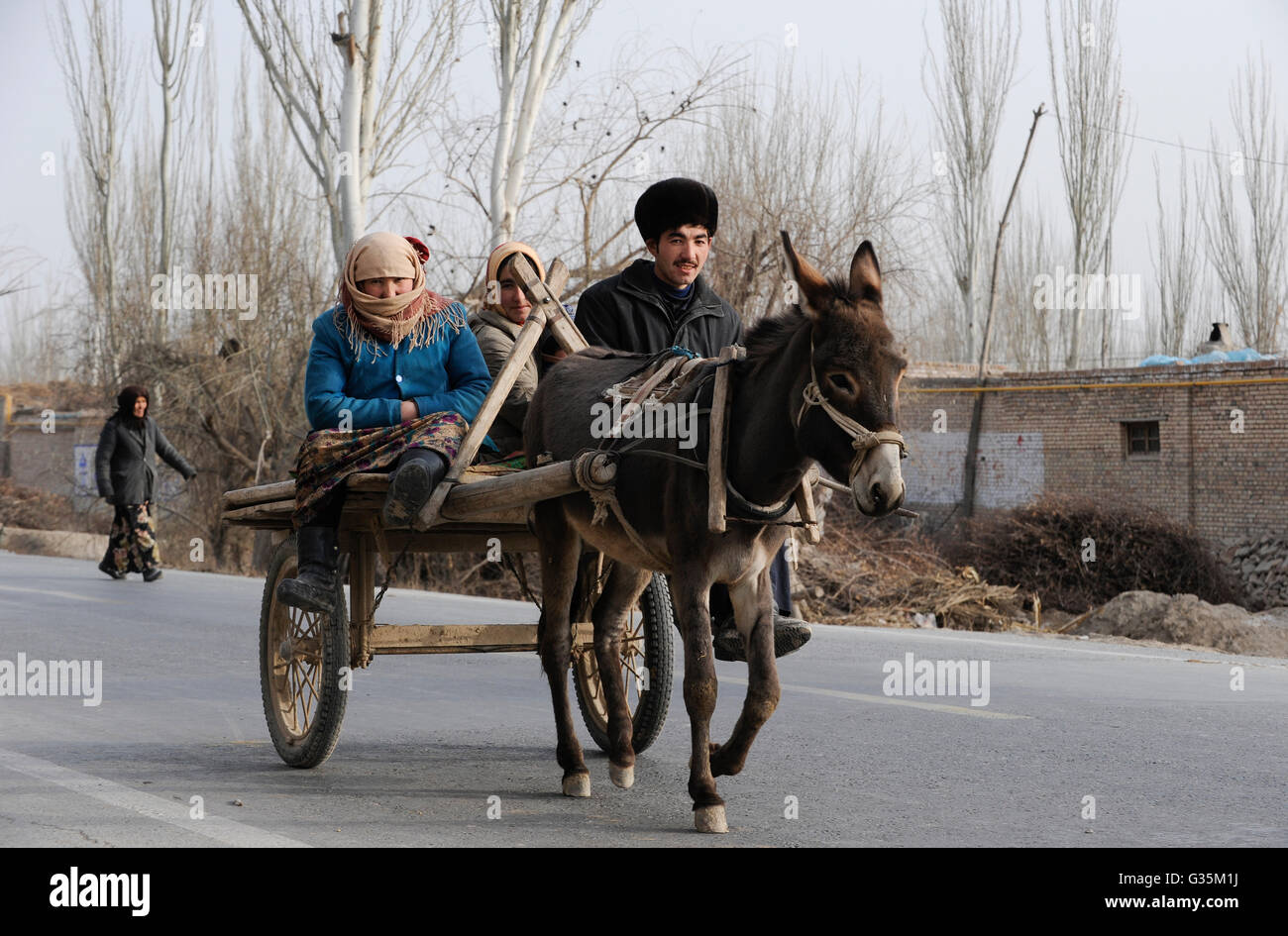 CHINA, Provinz Xinjiang, Markttag in der uigurischen Dorf Jin Erek in der Nähe der Stadt Kashgar, wo uigurischen Volkes leben, Familie reisen mit eselskarren Stockfoto
