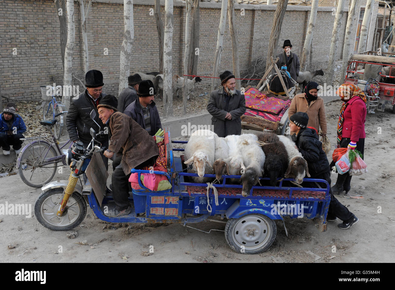 CHINA, Provinz Xinjiang, Markttag in der uigurischen Dorf Jin Erek in der Nähe der Stadt Kashgar, wo der Uiguren leben Leute, Leute verkaufen Schafe Lamm- und Ziegenfleisch Stockfoto