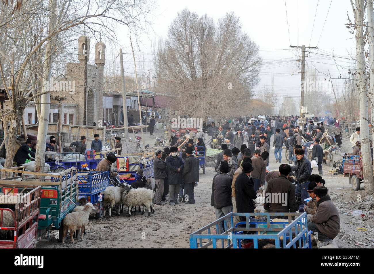 CHINA, Provinz Xinjiang, Markttag in der uigurischen Dorf Jin Erek in der Nähe der Stadt Kashgar, wo der Uiguren leben Leute, Männer verkaufen Schaf Schaf- und Ziegen Säugling der Moschee, uigurische Männer tragen eine pelzmütze Stockfoto