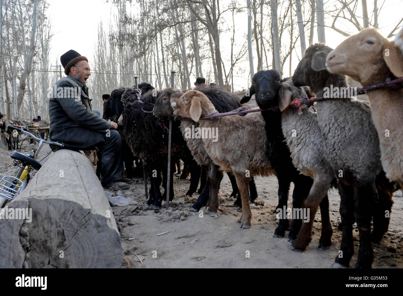 CHINA, Provinz Xinjiang, Markttag in der uigurischen Dorf Jin Erek in der Nähe der Stadt Kashgar, wo der Uiguren leben Leute, Leute verkaufen Schafe Lamm- und Ziegenfleisch Stockfoto