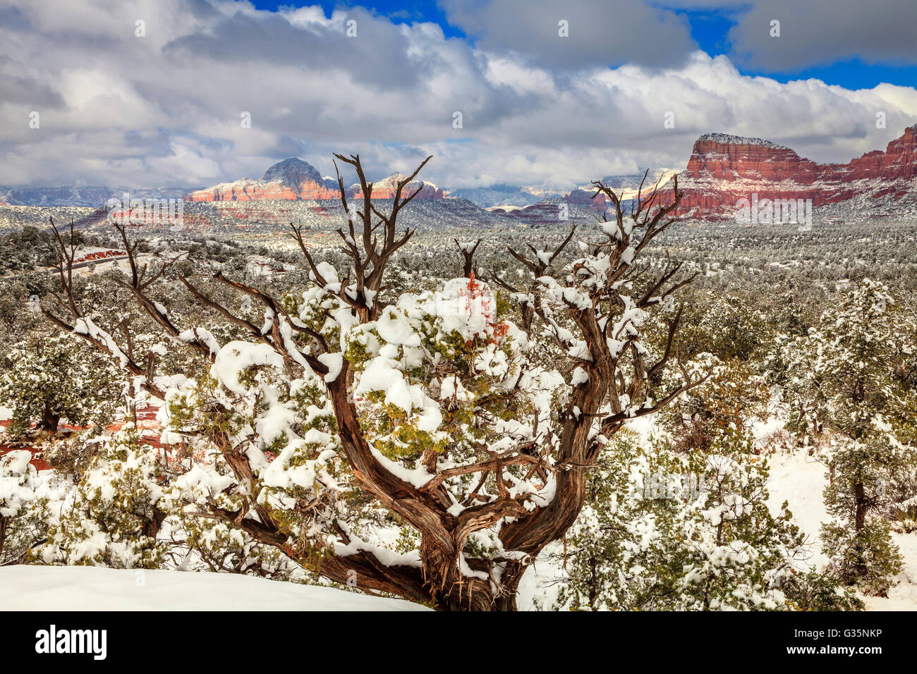 Wüste in Sedona, Arizona nach schweren Schneesturm Stockfoto