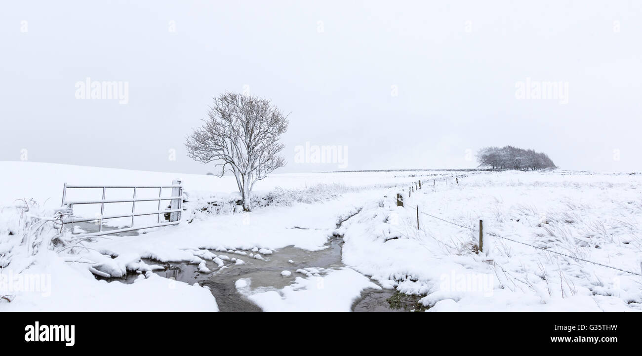 Heftige Schneefälle in Barkisland Halifax West Yorkshire, Großbritannien. Stockfoto