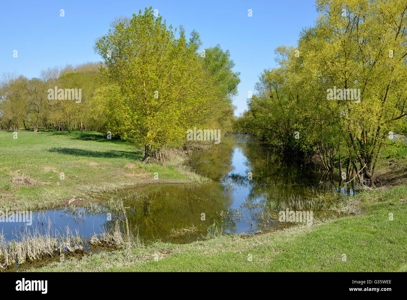 Fluss des Flusses Vienne in Candes-Saint-Martin mit Bäumen, Gemeinde im Département Indre-et-Loire, Region Centre in Frankreich Stockfoto