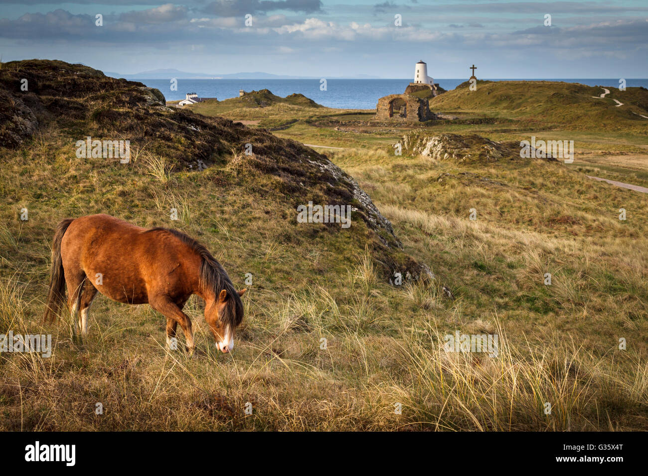 Llanddwyn Island, Anglesey, Nord Wales UK Stockfoto