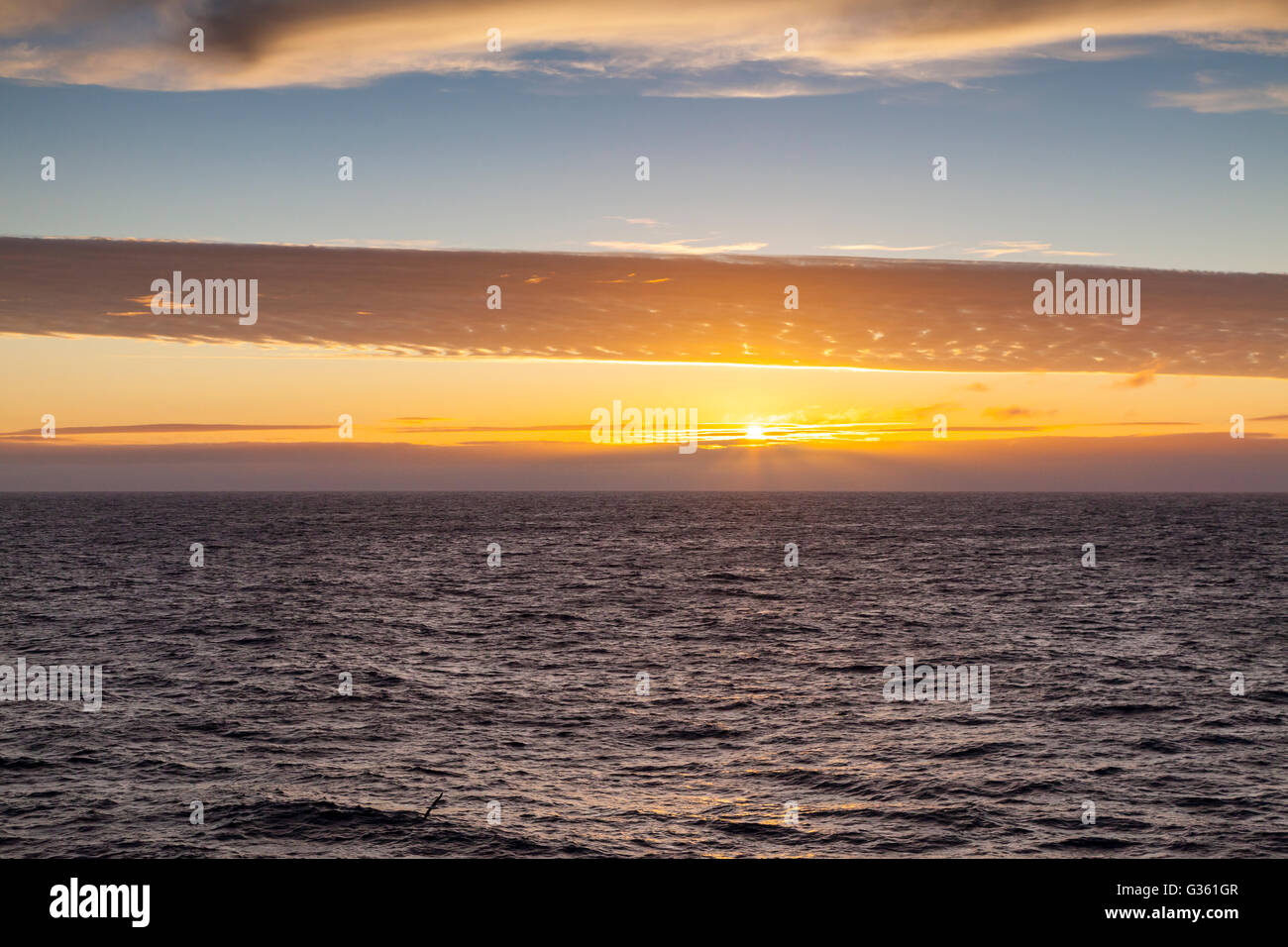 Südlichen Ozean Sonnenuntergang, auf dem Weg zum Bounty Island Stockfoto