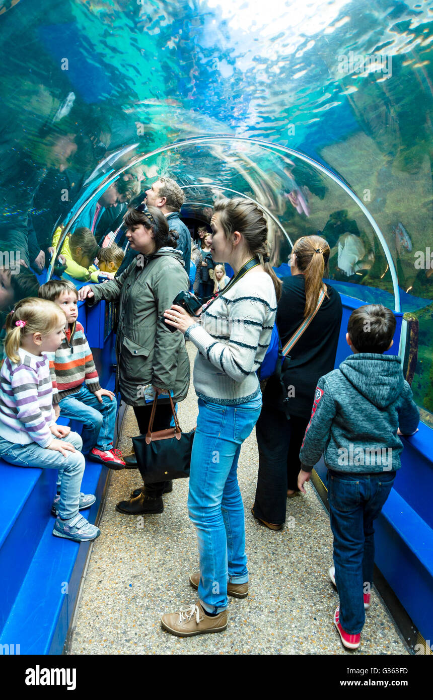 Touristen gehen durch den Tunnel, der durch das Key West Aquarium im Ozeanarium in Bournemouth geht. Stockfoto