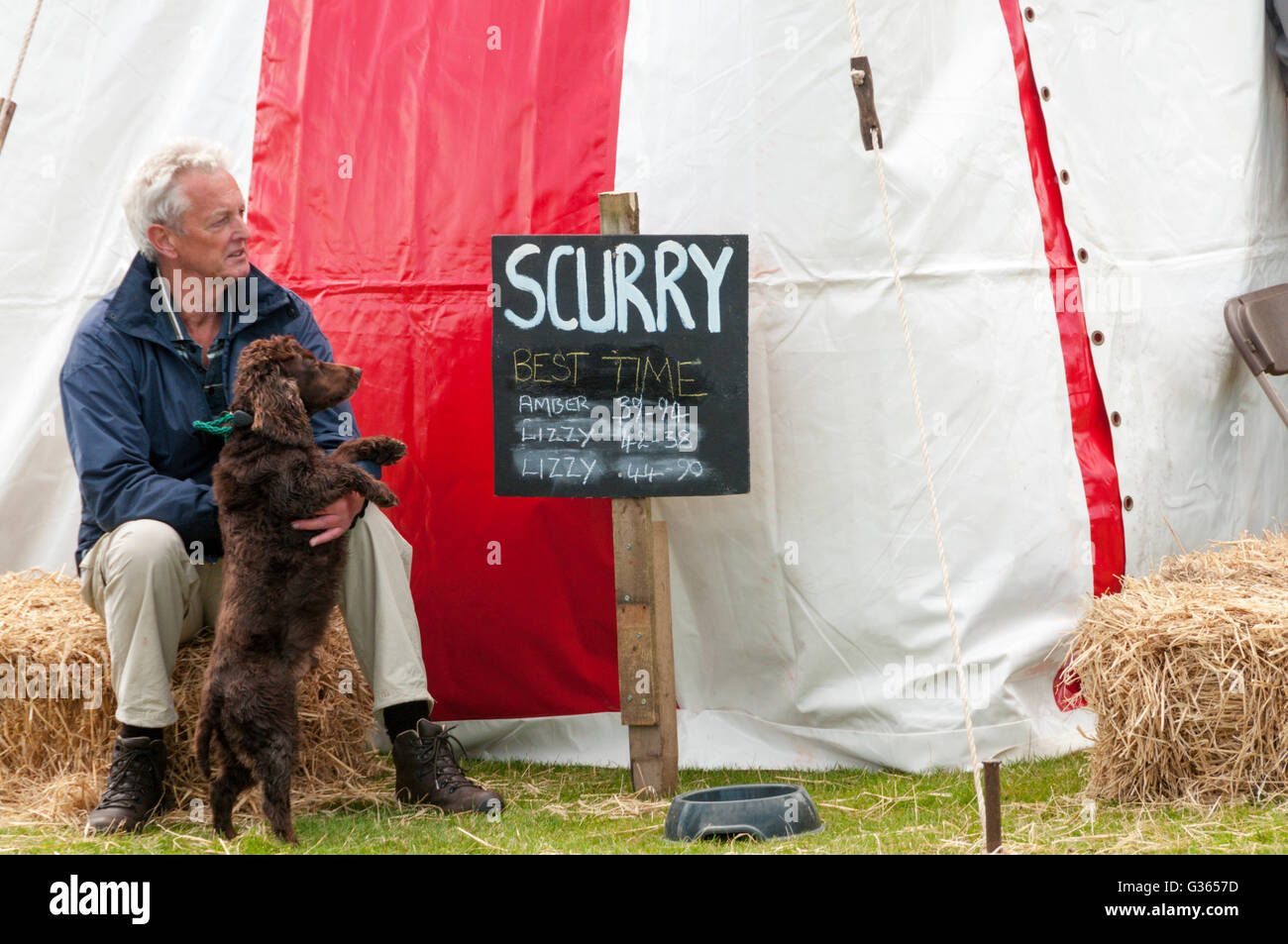 Ein Mann und sein Hund warten ihrerseits in den Jagdhund huschen in Holkham Game Fair in Norfolk zu konkurrieren Stockfoto