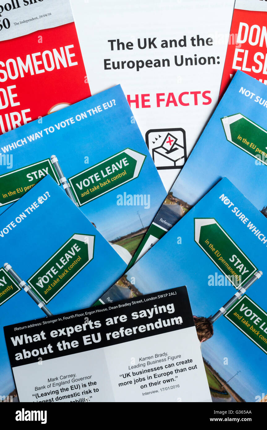 Eine Auswahl an Broschüren an jeden Haushalt mit Informationen über das europäische Referendum 2016 gesendet. Stockfoto