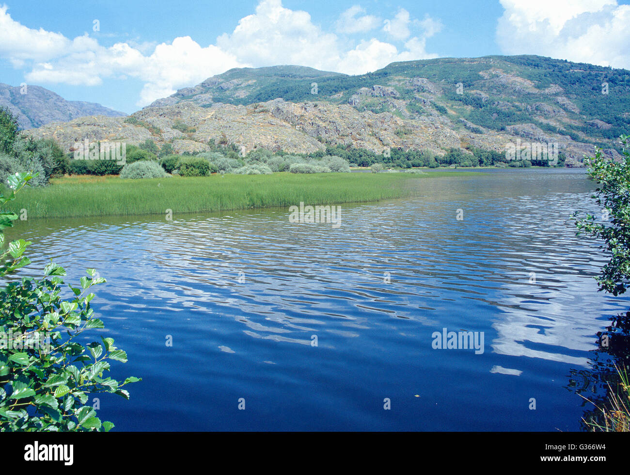 See. Lago de Sanabria Nature Reserve, Provinz Zamora, Kastilien-León, Spanien. Stockfoto