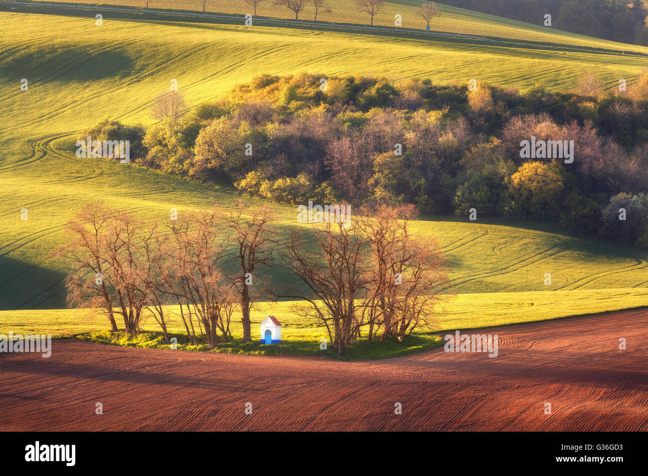 Bunte Landschaft mit berühmten kleinen Kapelle, Bäume auf der grünen Wiese bei Sonnenuntergang im Frühling. in Südmähren, Tschechische Republik Stockfoto