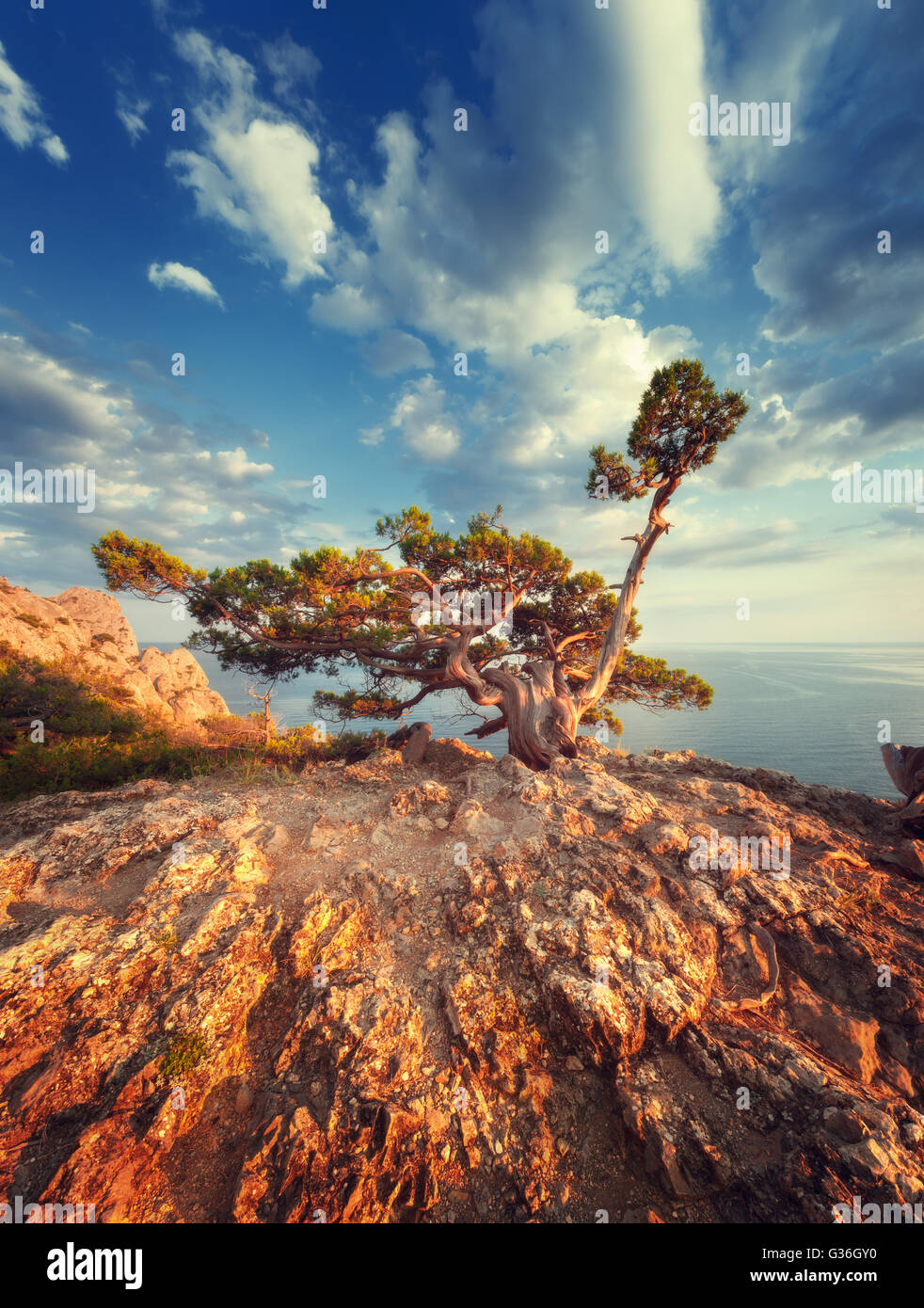 Landschaft mit schönen Baum auf die Berge, blauer Himmel und Meer bei Sonnenaufgang Stockfoto