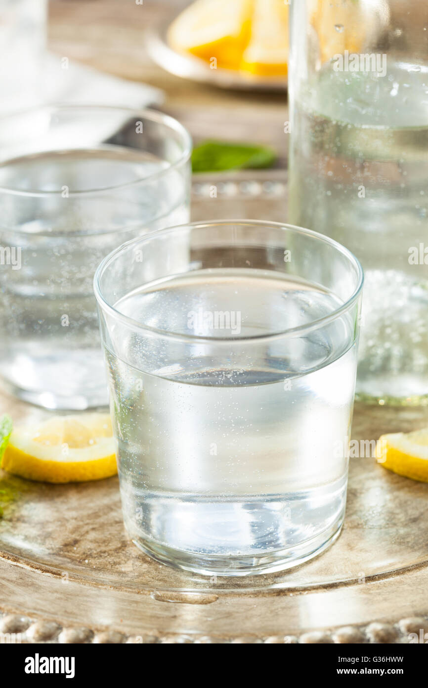 Erfrischend klar Mineralwasser mit Zitrone und Minze Stockfoto