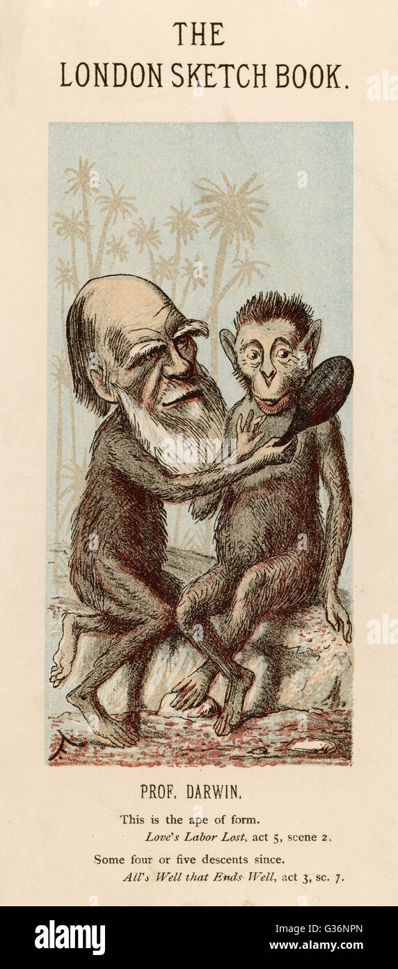 Charles Darwin (1809-1882) hält einen Handspiegel, ein Affe zeigt, wie ähnlich das Paar von ihnen sind.     Datum: 1874 Stockfoto