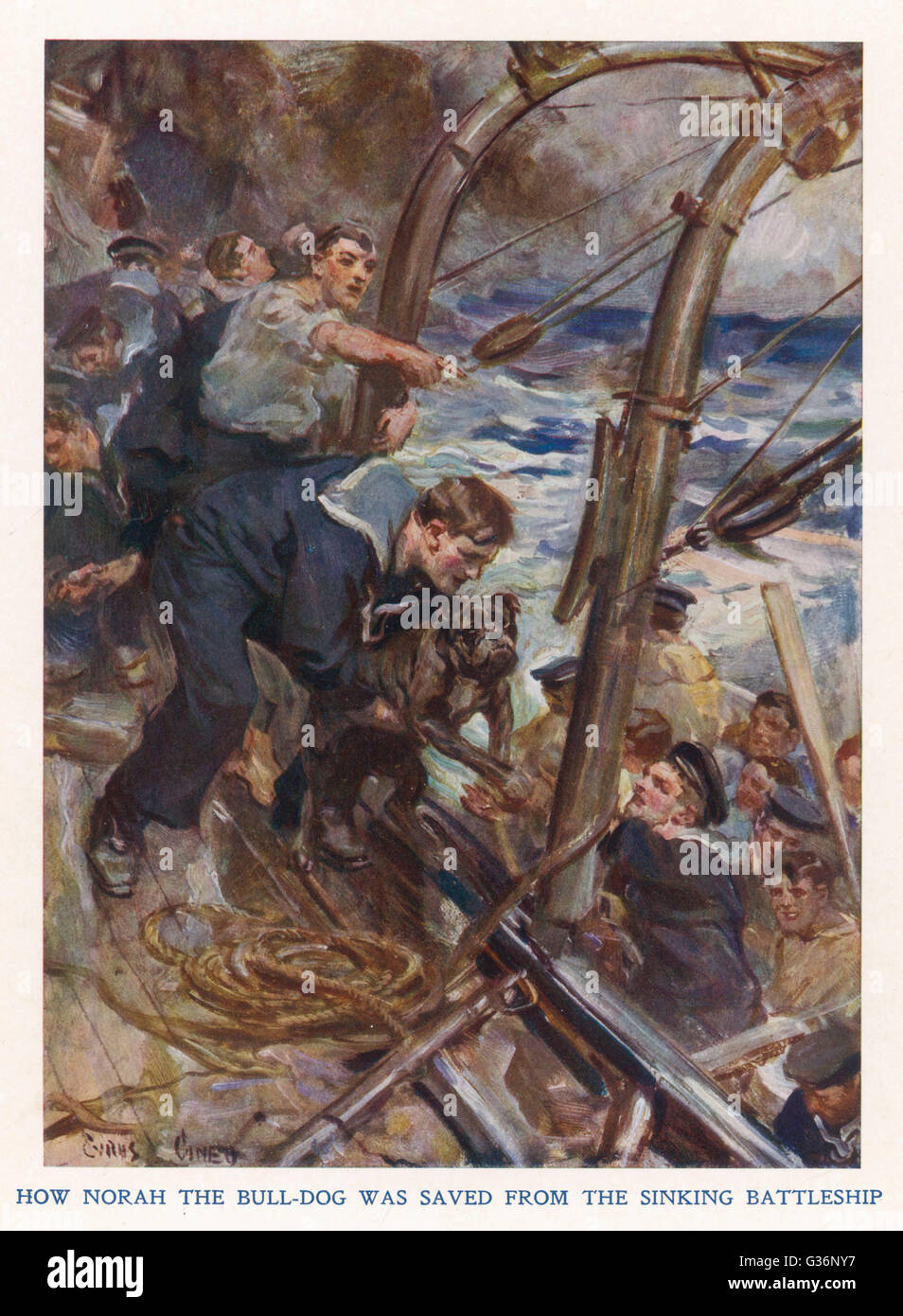 Bulldog aus sinkendem Schiff gerettet, erster Weltkrieg Stockfoto