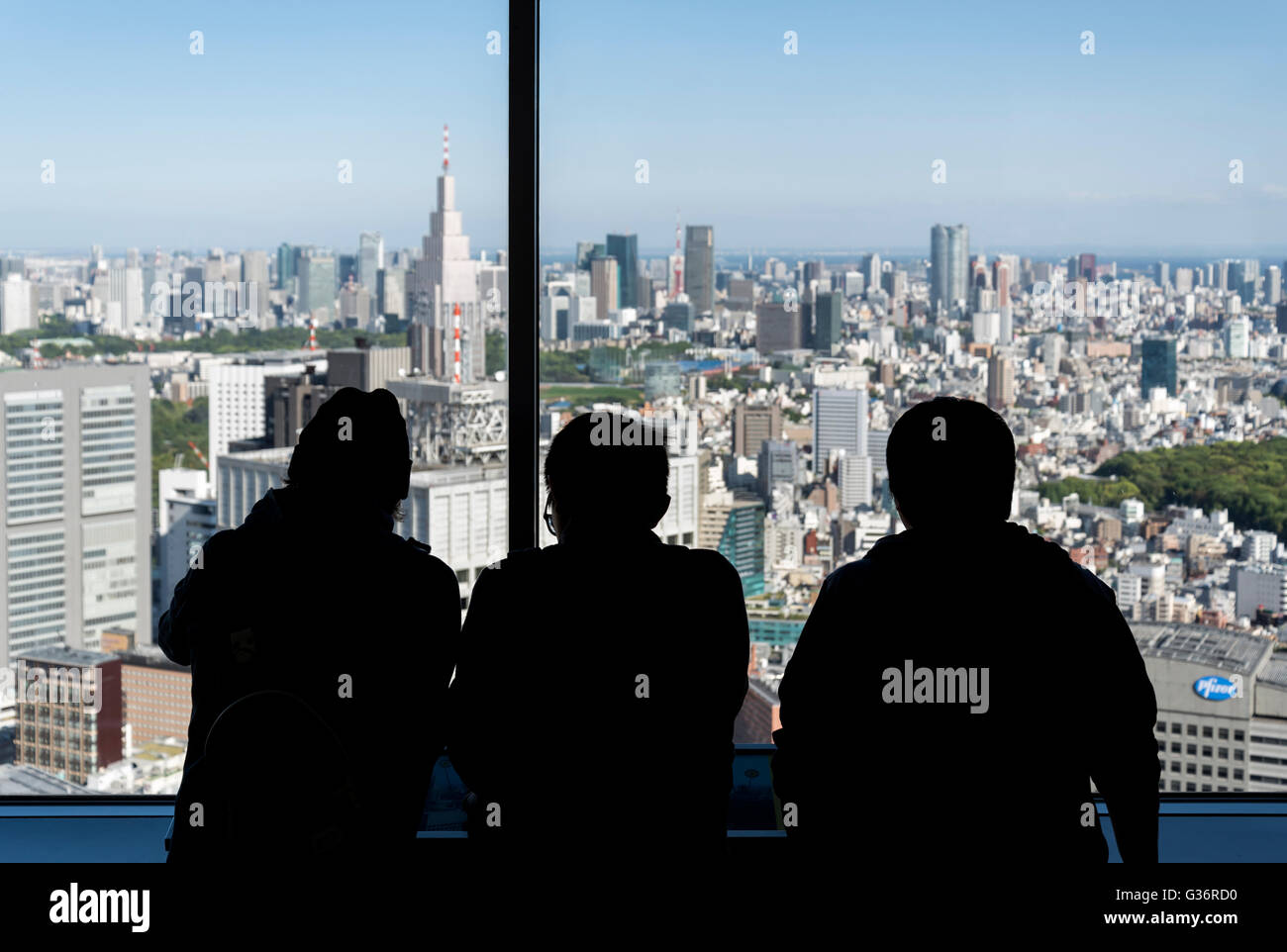 Blick vom Aussichtsplattformen des Tokyo Metropolitan Government Building, Shinjuku, Japan Stockfoto