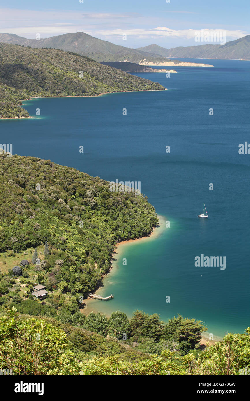 Üppige Buschlandschaft und blaues Wasser betrachtet von einem Höhepunkt auf den Queen Charlotte Track, Marlborough, Neuseeland Stockfoto