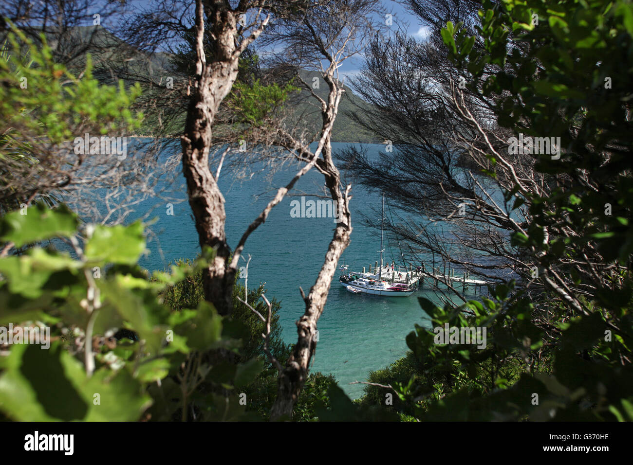 Ein Boot auf einem Steg in Endeavour Inlet, Marlborough, Neuseeland. Stockfoto