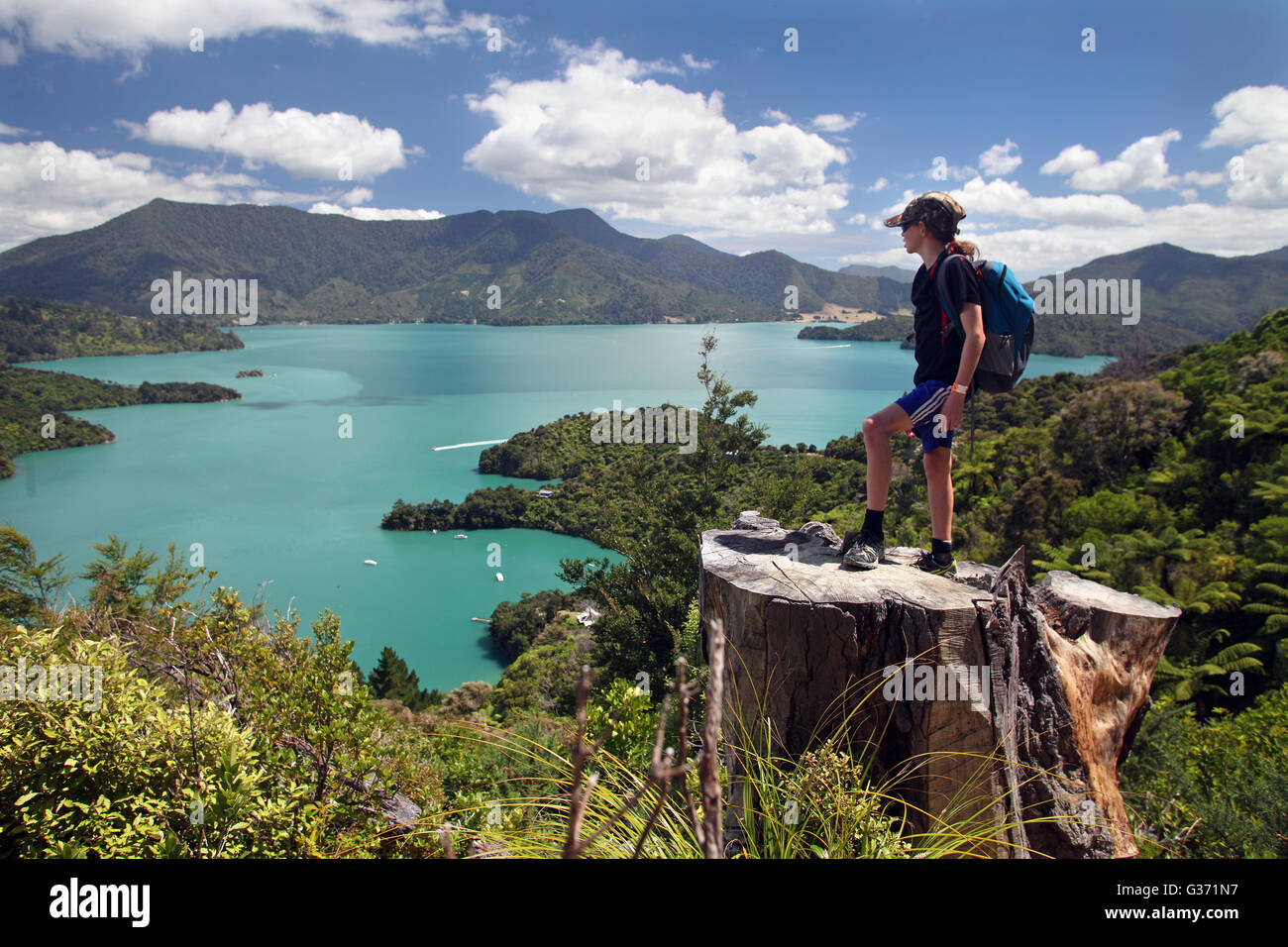 Bild von Tim Cuff - Jasmin auf der Suche in den Kenepuru Sound aus den Queen Charlotte Track, Marlborough, Neuseeland Stockfoto