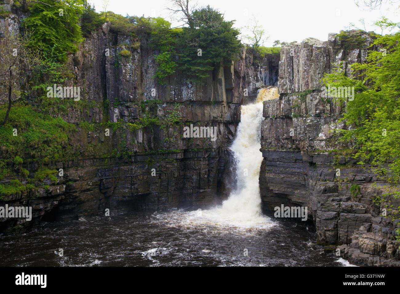 Hohe Kraft Wasserfall, River Tees, Wald-in-Teesdale, Durham Dales, Middleton-in-Teesdale, County Durham, England, UK. Stockfoto