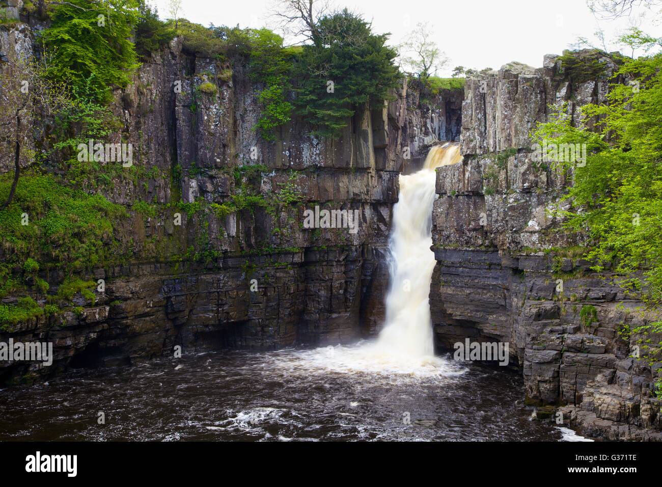 Hohe Kraft Wasserfall, River Tees, Wald-in-Teesdale, Durham Dales, Middleton-in-Teesdale, County Durham, England, UK. Stockfoto
