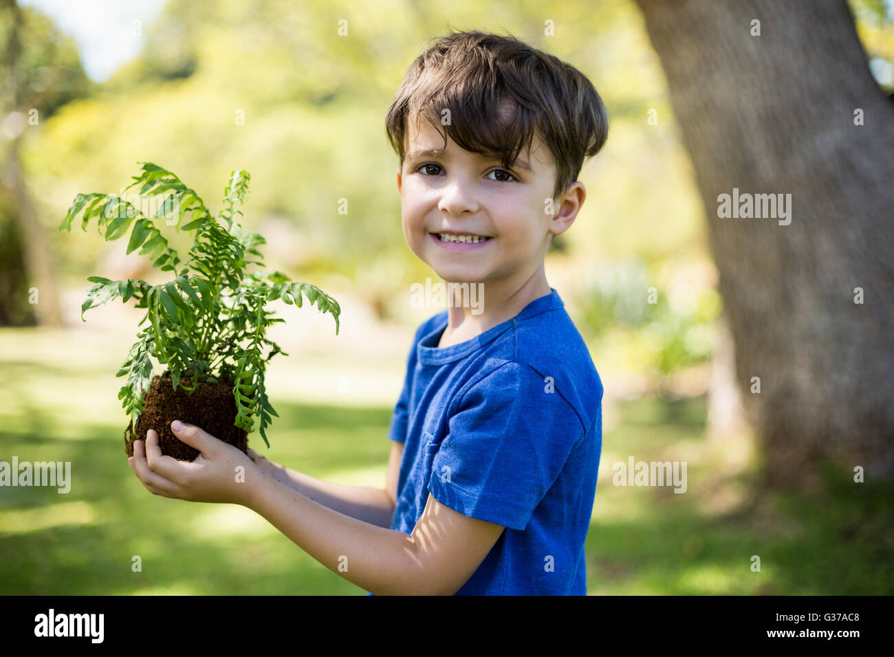 Junge Bäumchen Pflanzen halten Stockfoto