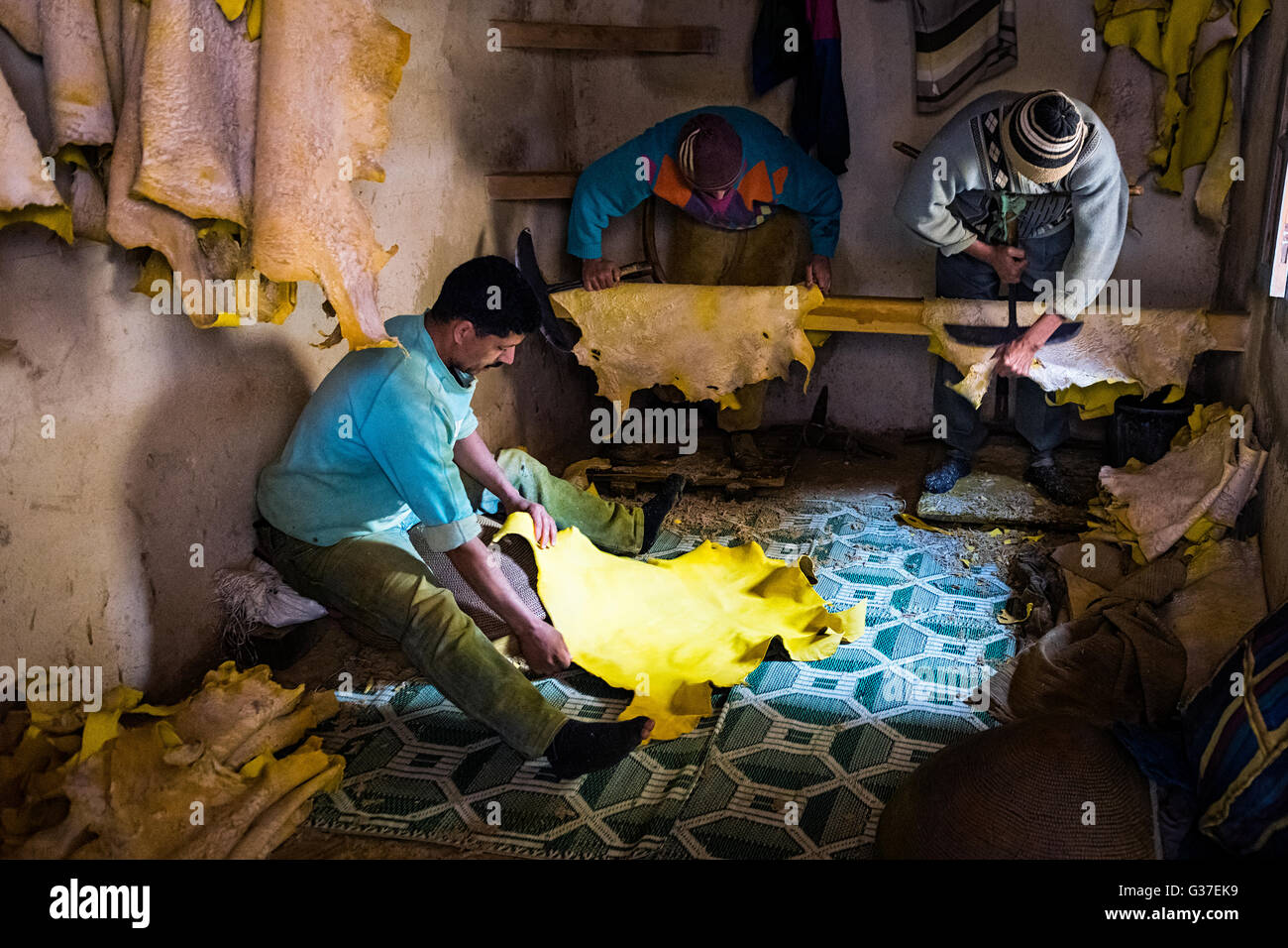 Fes, Marokko - 11. April 2016: Baum-Mann arbeitet in einer Gerberei in der Stadt Fez in Marokko. Stockfoto