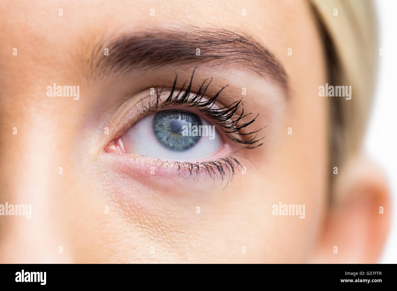 Womans Auge mit geöffneten Augen im Fokus Stockfoto