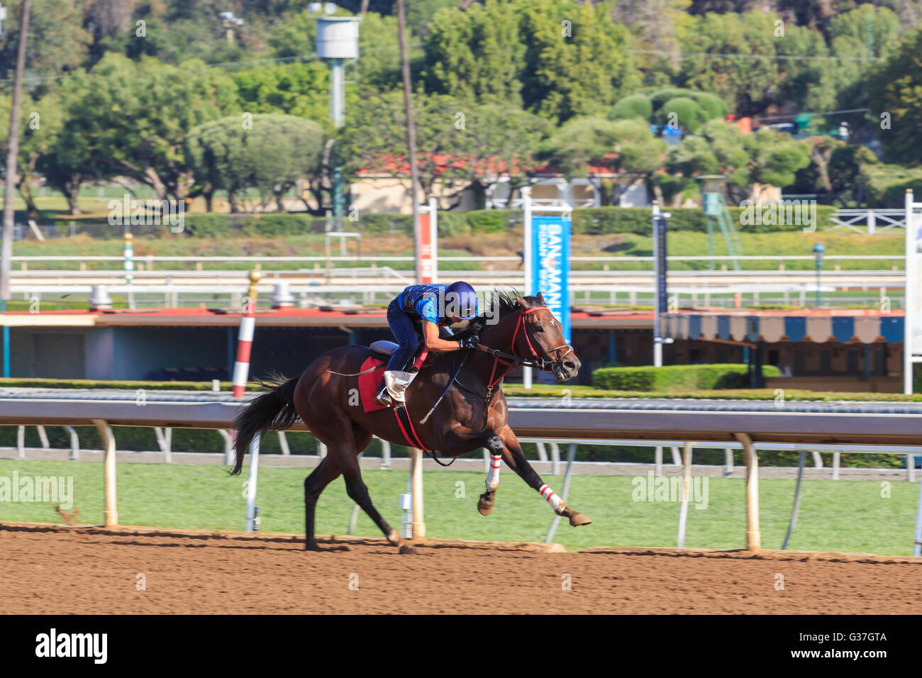 APR 8, Arcadia: Pferderennen auf 8. April 2015 im Santa Anita Park Stockfoto