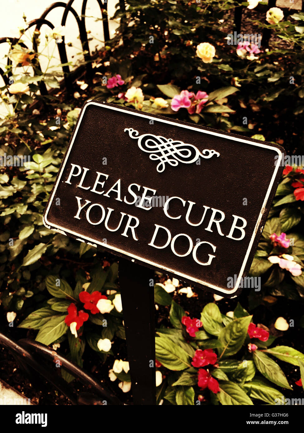 Bitte zügeln Sie Ihr Hund Zeichen, NYC Stockfoto