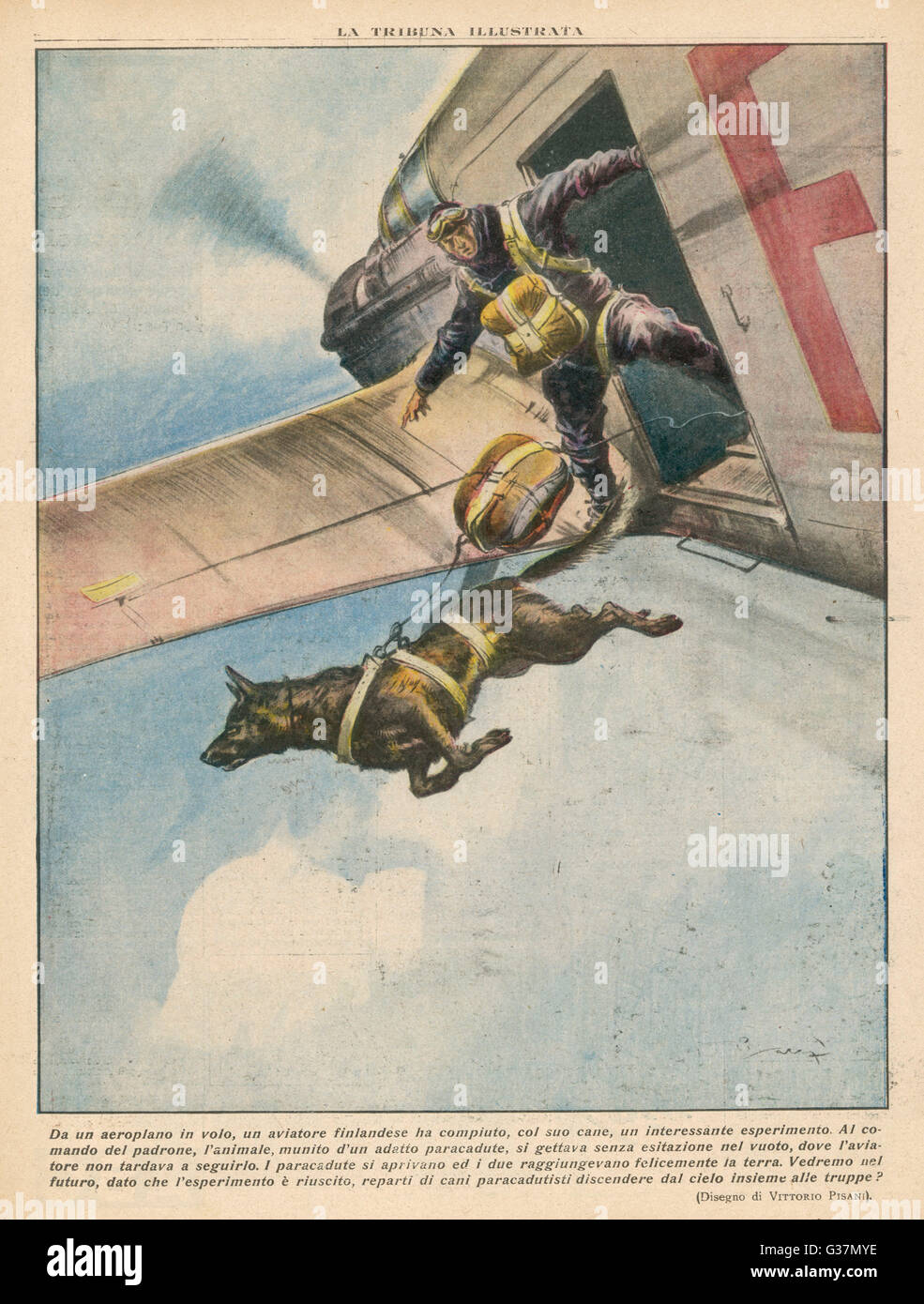 Ein finnische Fallschirmspringer springt mit seinem Hund, der bei seinem Master-Befehl ohne zu zögern aus dem Flugzeug springt, beide landen sicher auf sechs Beinen Datum: 1937 Stockfoto