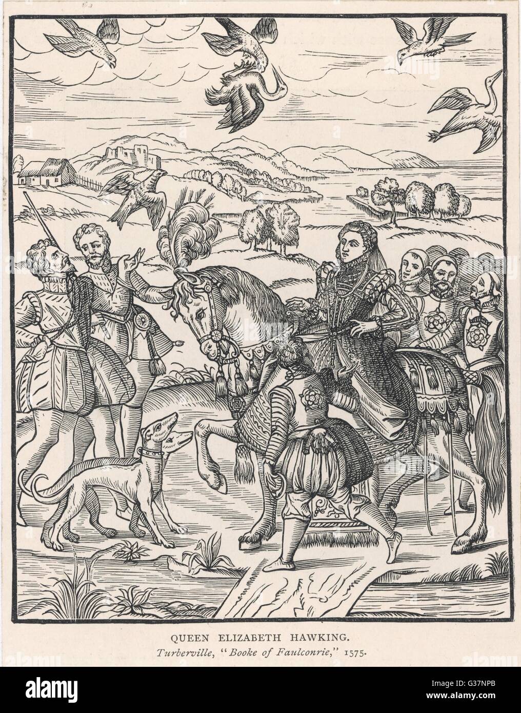 Königin Elizabeth I Hawking auf dem Pferderücken Stockfoto Königin Elizabeth I Hawking auf dem Pferderücken Stockfoto