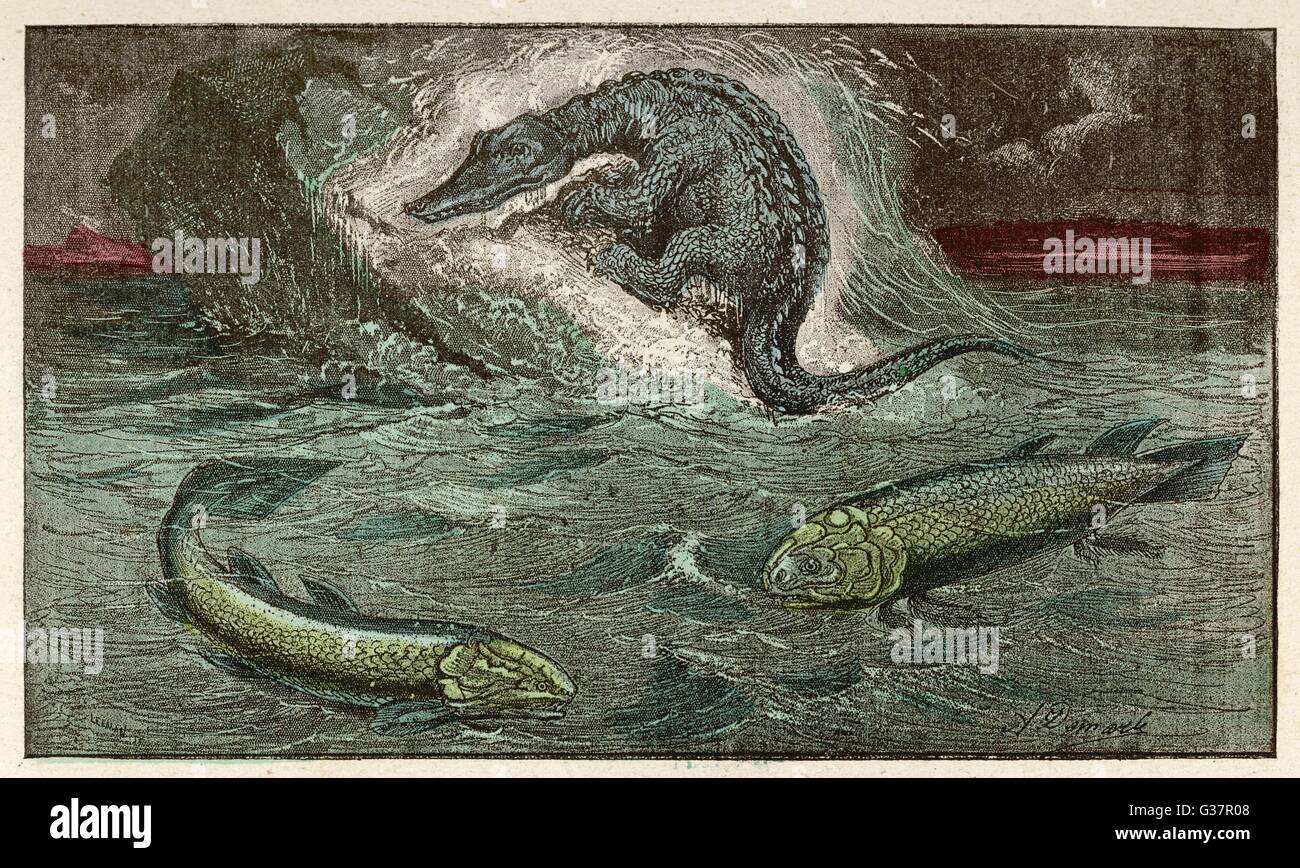 Ein PROTOSAURUS und zwei von den Meerestieren aus denen es sich