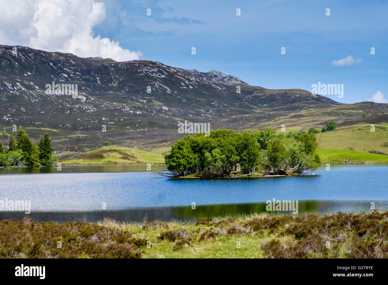 Loch Tarff, Inverness-Shire, Scotland Stockfoto