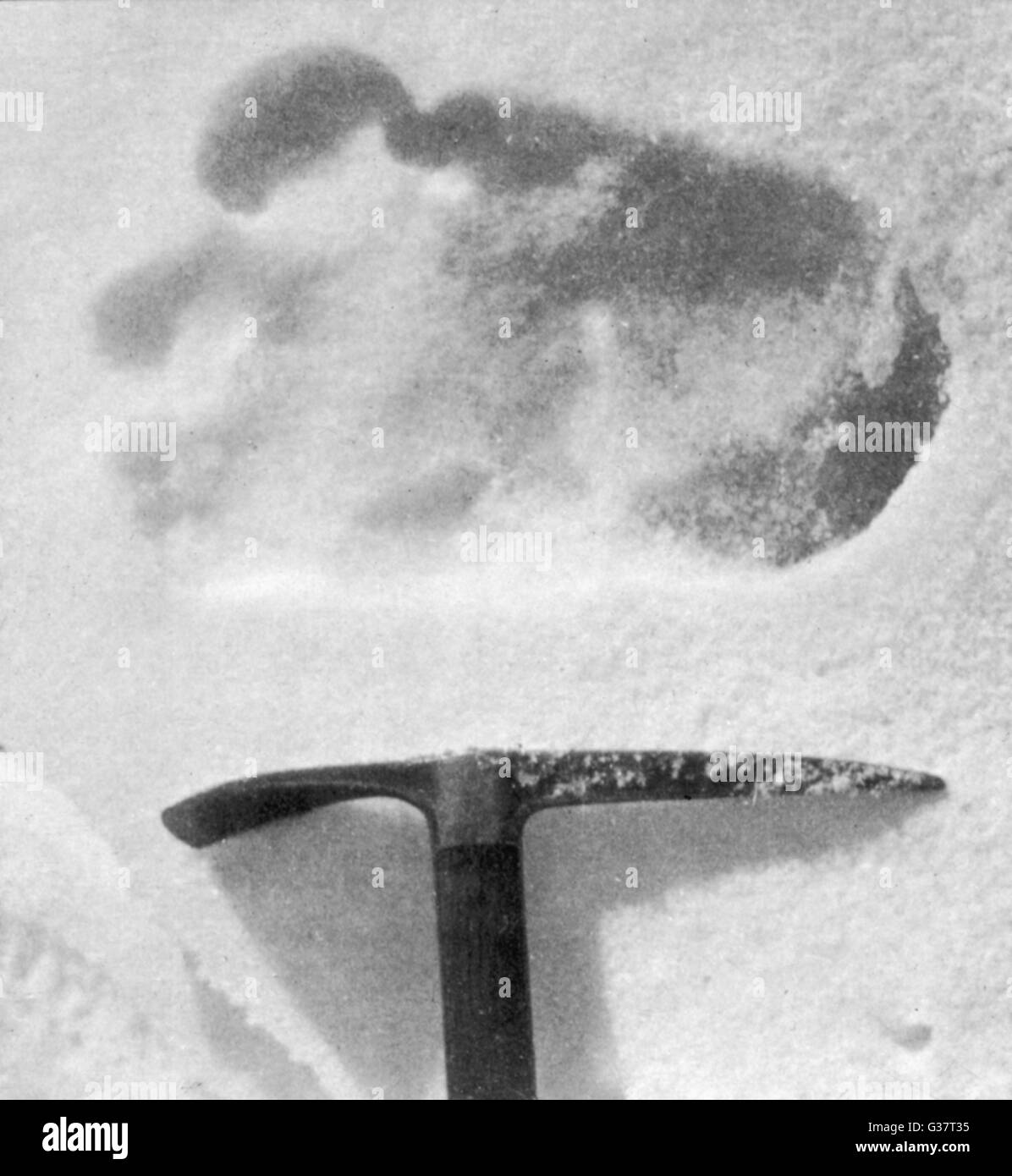 Yeti Fussabdruck Foto Stockfotos Und Bilder Kaufen Alamy