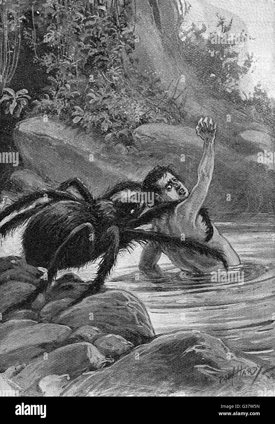 Spider frisst man 1890er Stockfoto