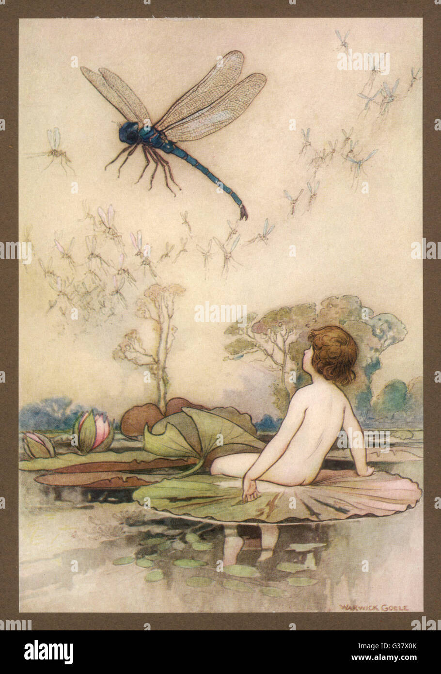 "Die Sache schnurrte oben in die Luft &amp; hing balanciert auf der Flügeln: Tom &amp; die Libellen.        Datum: Erstveröffentlichung: 1863 Stockfoto