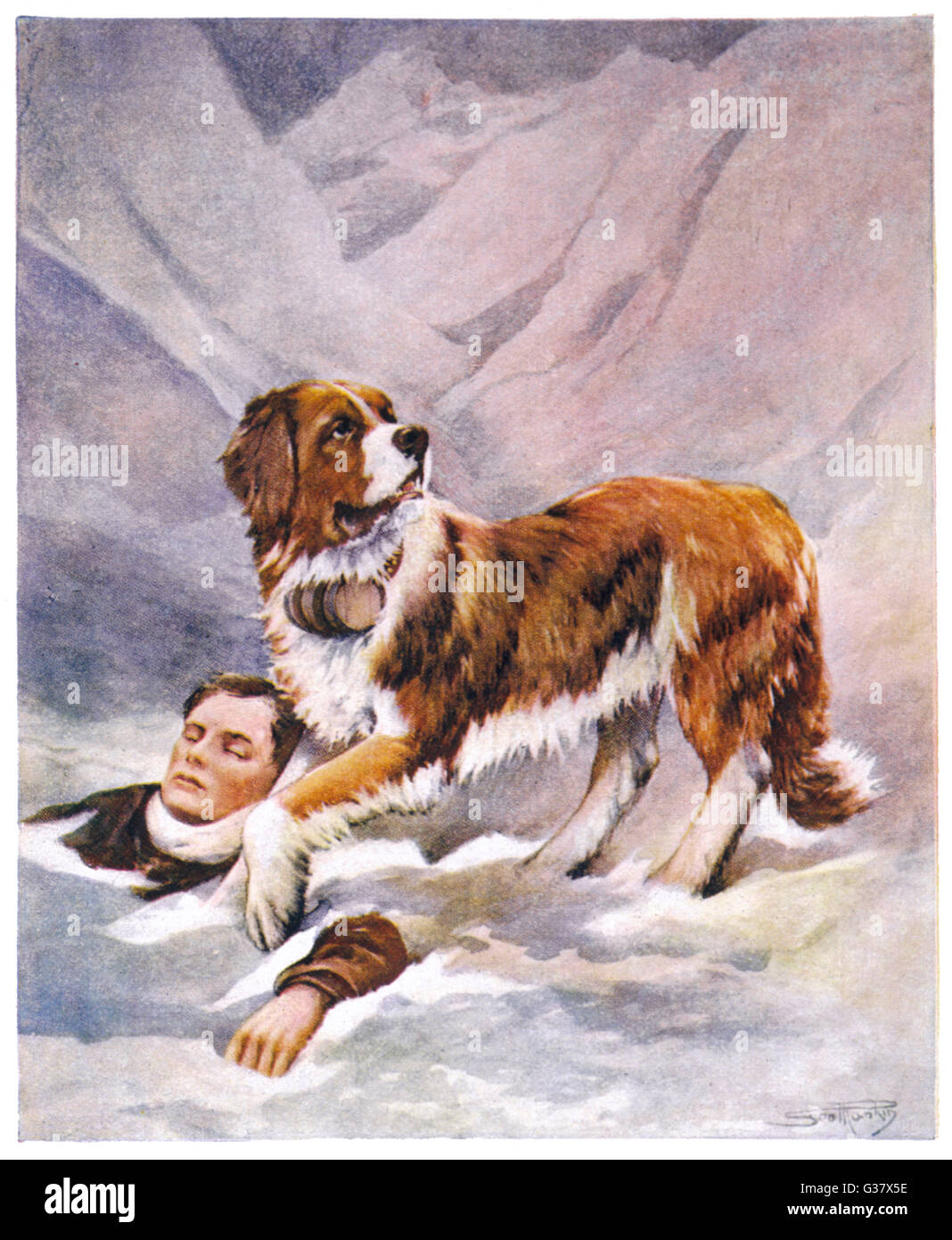 Ein Bernhardiner findet ein Mann gefangen im Schnee Datum: 1921 Stockfoto