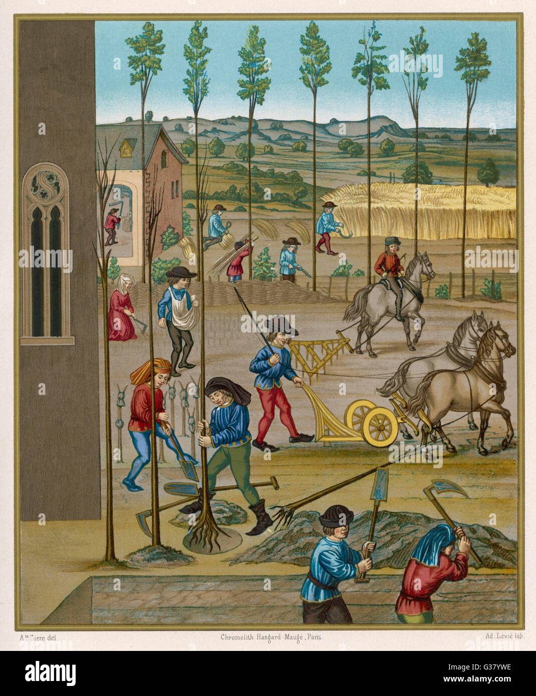 LANDWIRTSCHAFT 15TH. JAHRHUNDERT Stockfoto