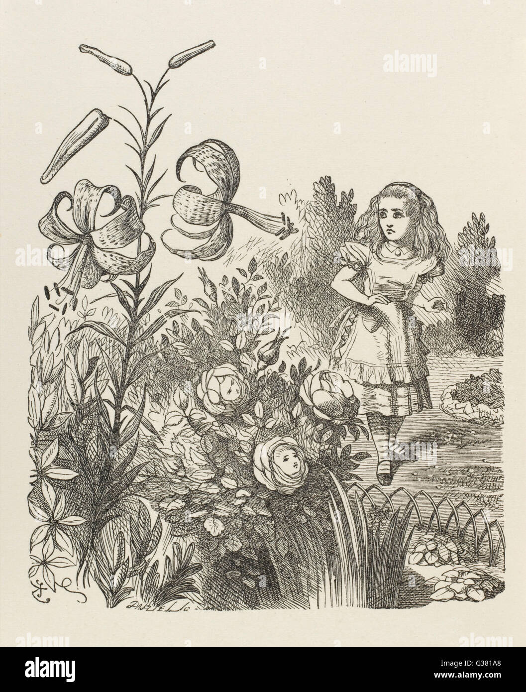 Alice und die Blumen Stockfoto
